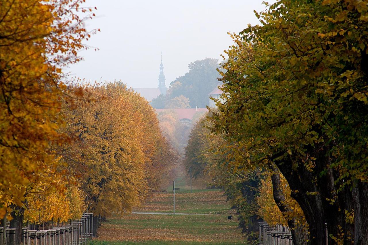 Apartmán U krále Tylova 515 Jičín Esterno foto